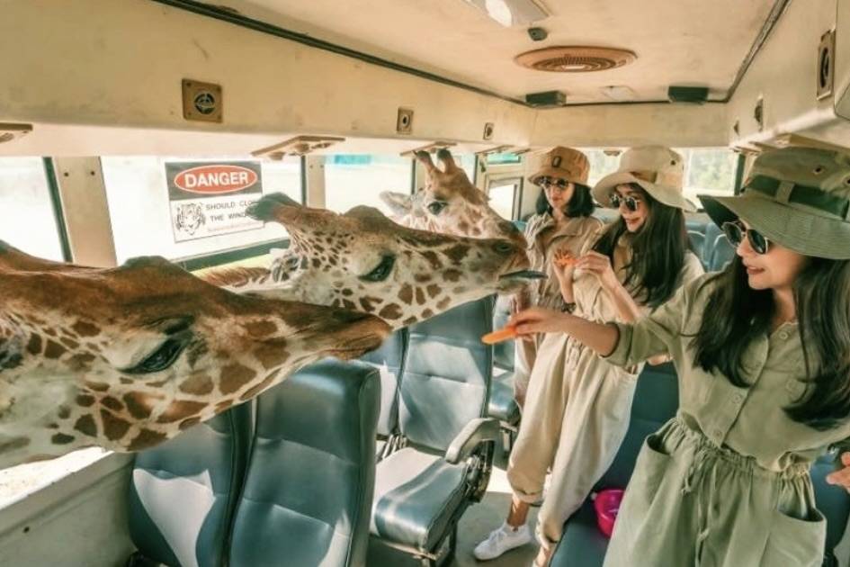 【曼谷出發】北碧野生動物園一日遊＋死亡鐵路＋桂河大橋